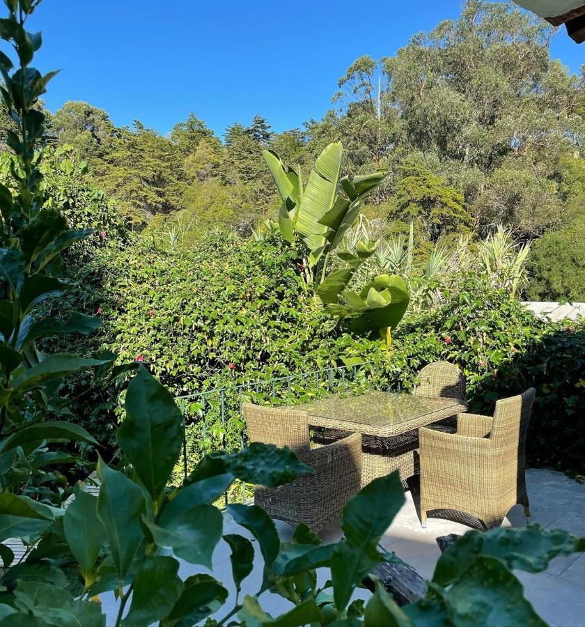 Casa Holstein Quinta De Sao Sebastiao Sintra Hotel Kültér fotó