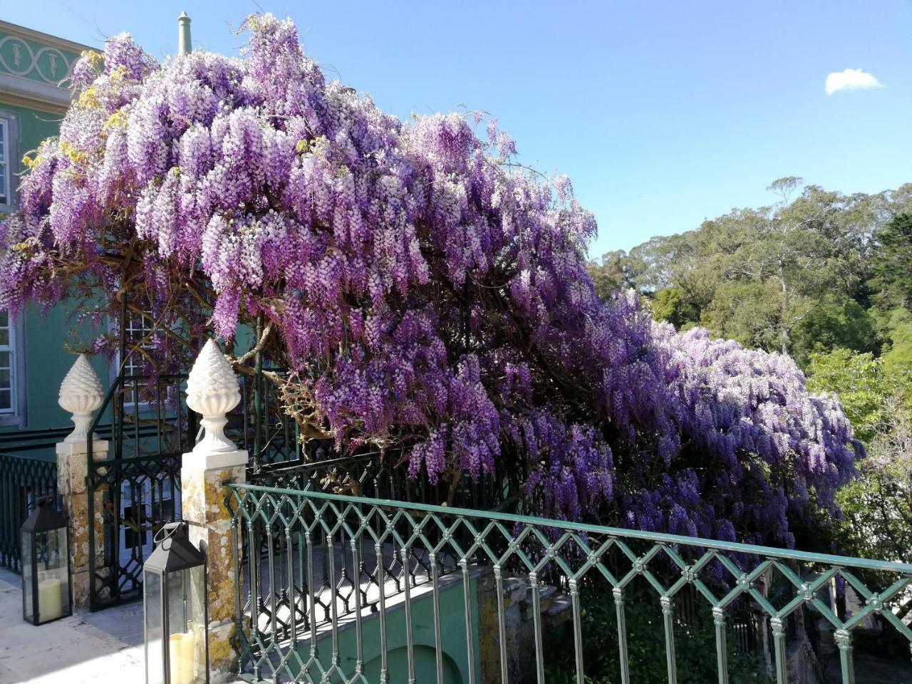 Casa Holstein Quinta De Sao Sebastiao Sintra Hotel Kültér fotó